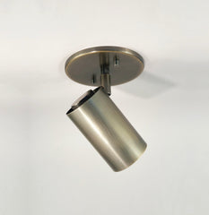 Brass Cylinder Adjustable Spot - Side Mount