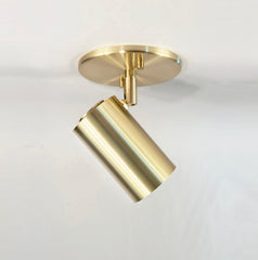 Brass Cylinder Adjustable Spot - Side Mount