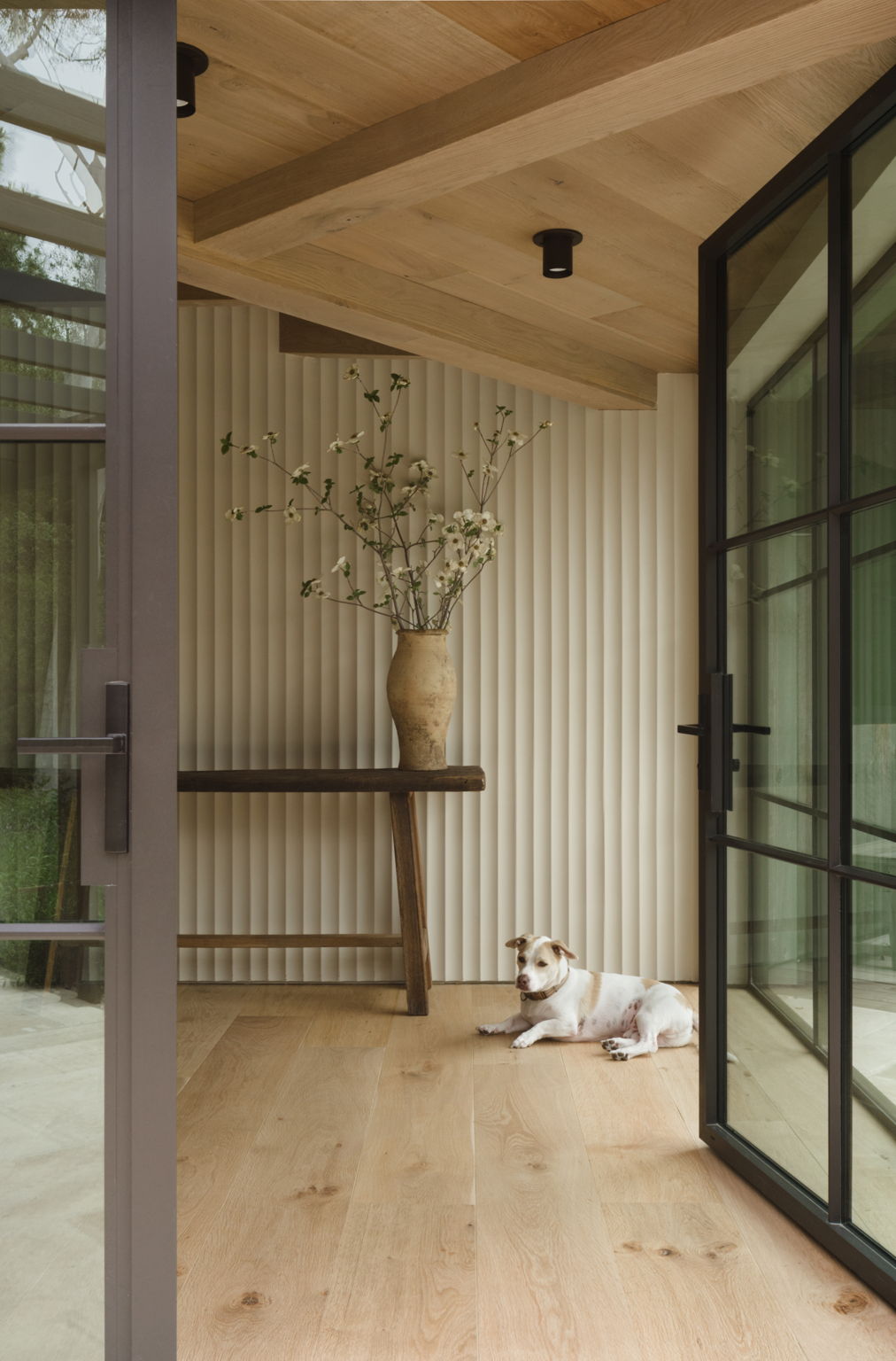 A small white dog lies on a light wooden floor in a modern room with glass doors, a wooden console, Long Made Co.’s Highland Flush Spot - Stocky lights, a large vase with branches, and ribbed beige wall paneling.