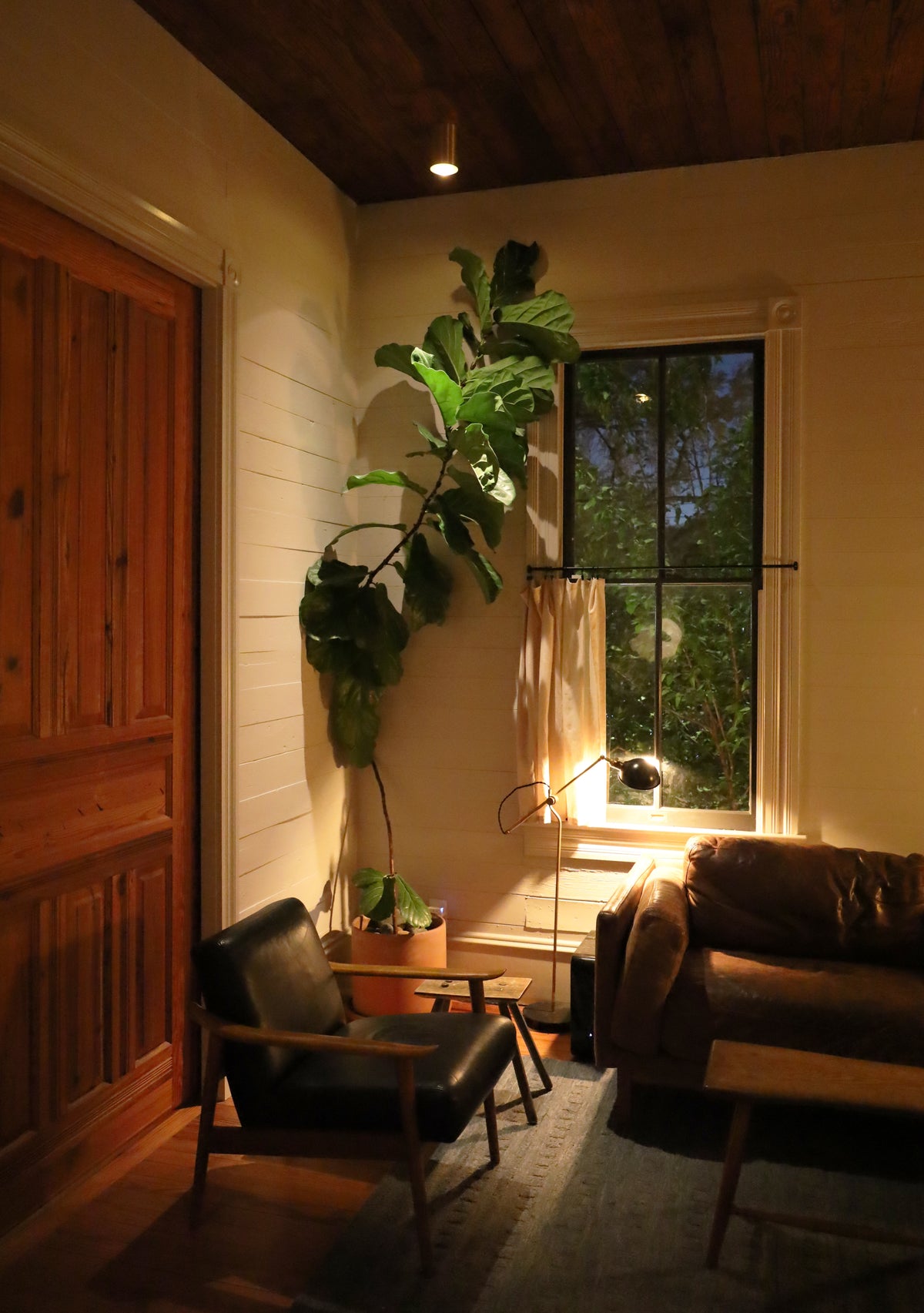 A cozy living room features a leather sofa, black armchair, wooden coffee table, and a tall potted plant by the window. Warm light from the Beau Laiton Trimless Downlight by Long Made Co. creates a relaxed mood, with trees visible outside.