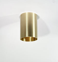 Beau Laiton - Trimless Downlight