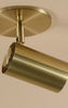 Brass Cylinder Adjustable Spot - Side Mount