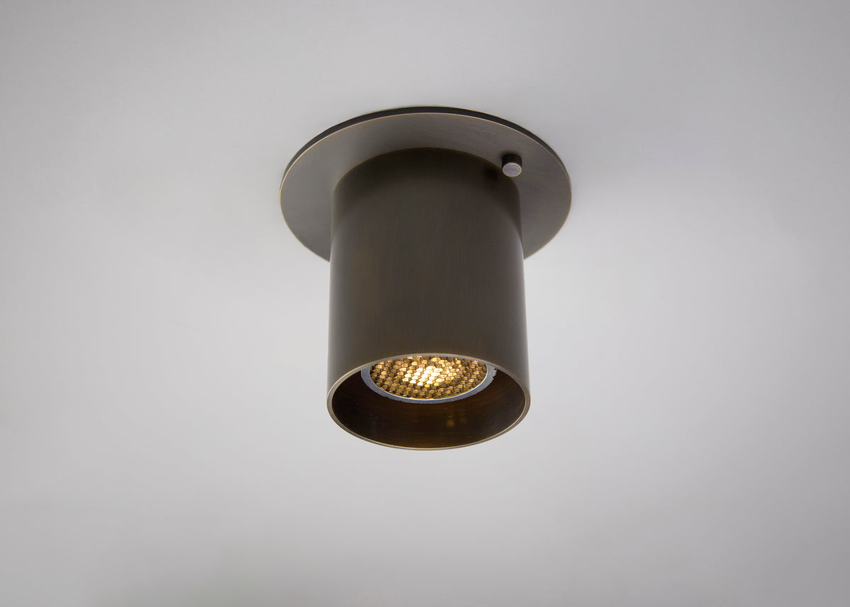 spotlight turned on in warm ox.