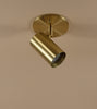 Brass Cylinder Adjustable Spot - Side Mount