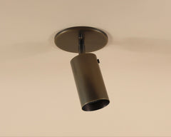 Brass Cylinder Adjustable Spot - Top Mount