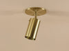 Brass Cylinder Adjustable Spot - Top Mount